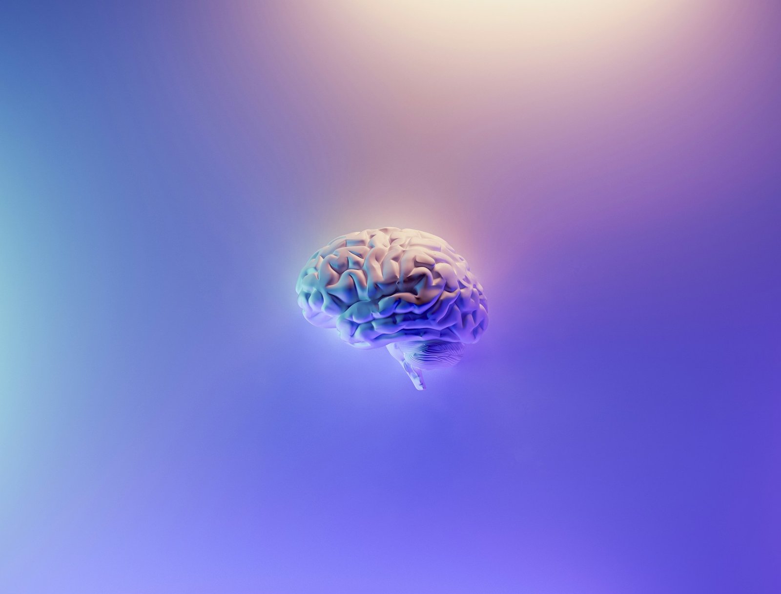 How to Clear Brain Fog and Support Long-Term Cognitive Clarity Naturally
